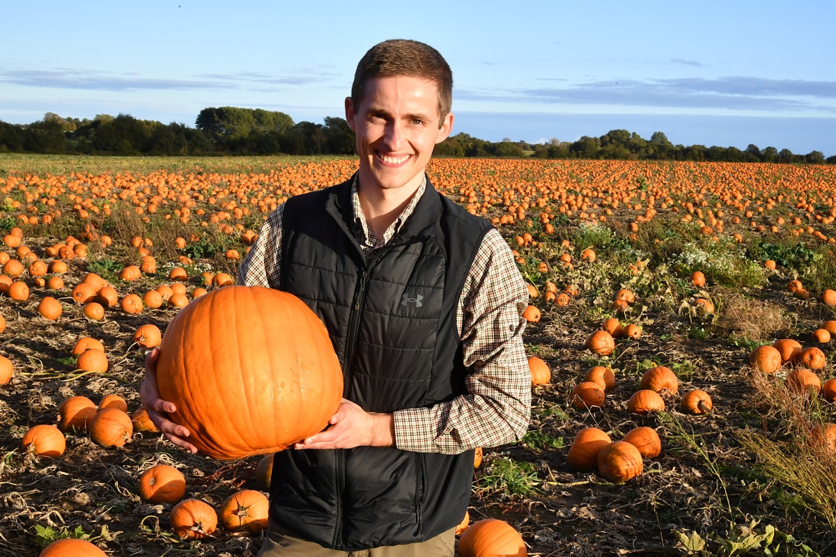 Christian Olesen nel suo campo di zucche di Halloween